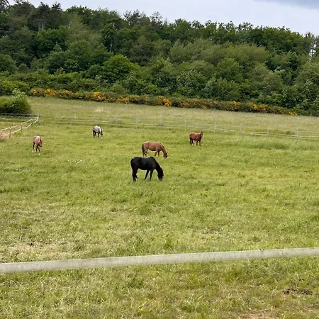 Apartmán Ranch Kirn