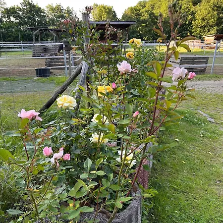 Apartmán Ranch