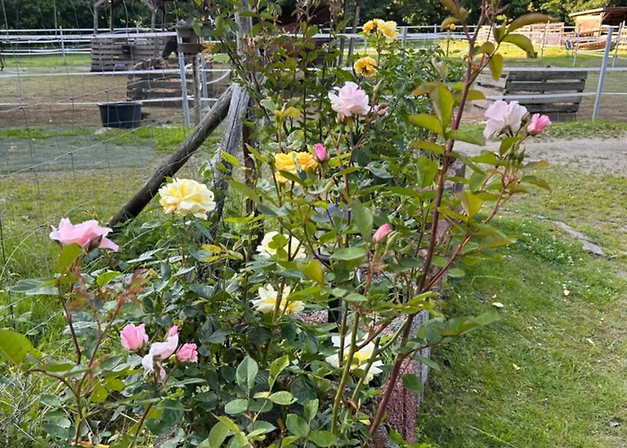 Апартаменты Ranch